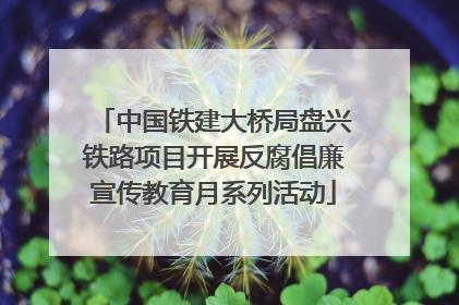 中国铁建大桥局盘兴铁路项目开展反腐倡廉宣传教育月系列活动